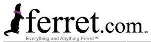 ferret.com